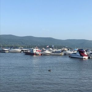 Meet your Posher, Amya